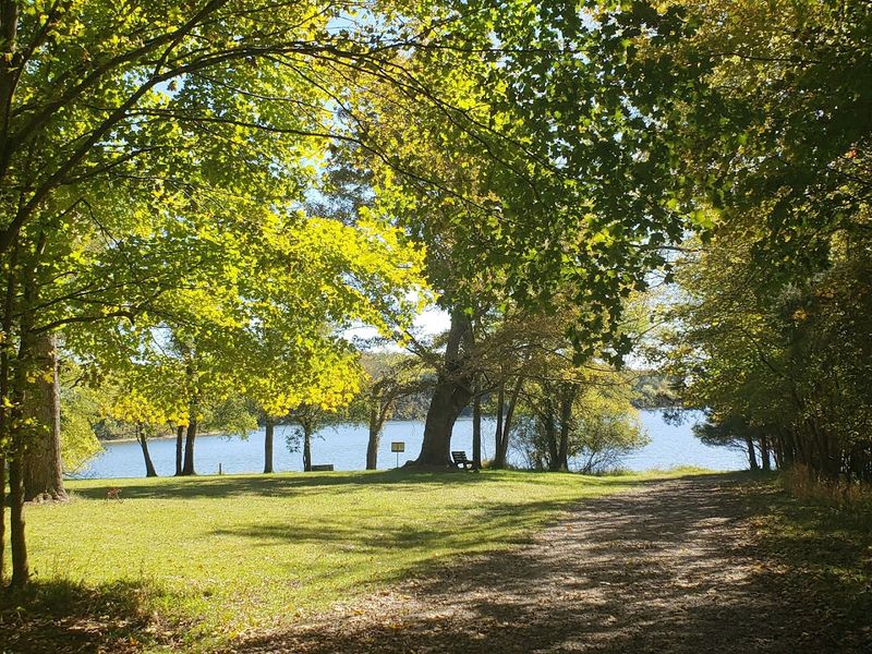 Limestone Glades And Rare Wildflowers