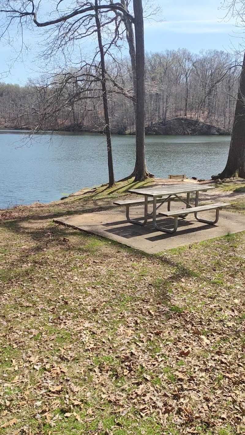 Picnic Areas Perfect For A Slow Afternoon