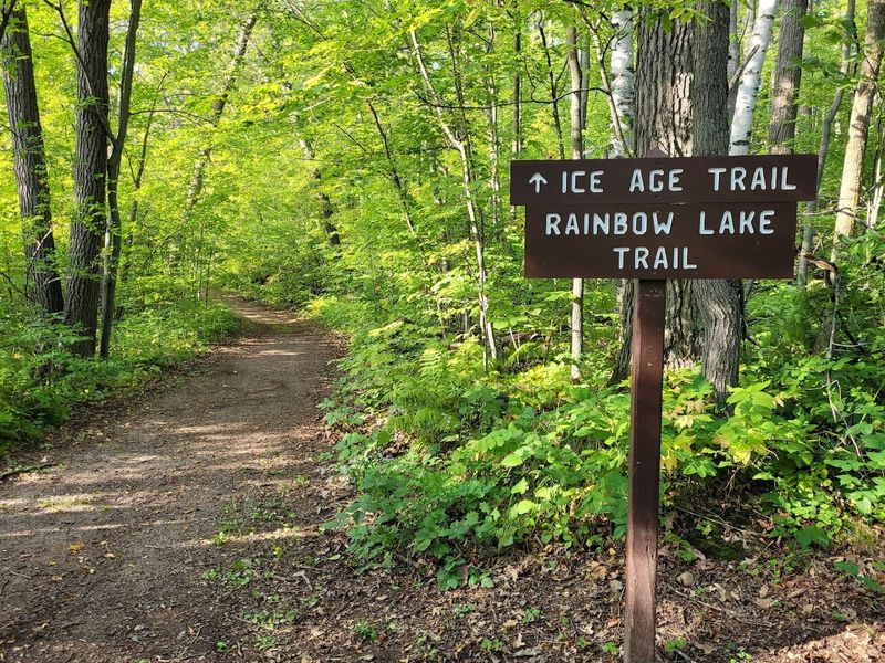 Why Locals Love Keeping This Park A Secret