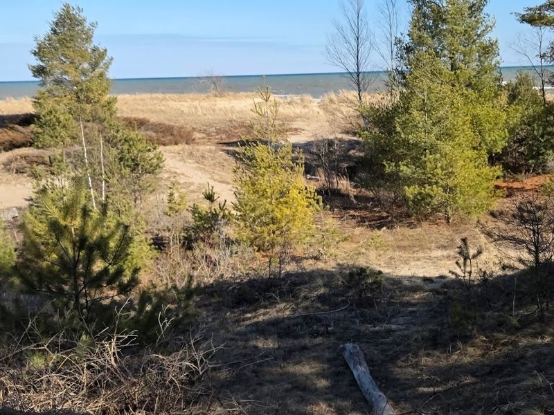 Trails That Lead You Through Stunning Nature