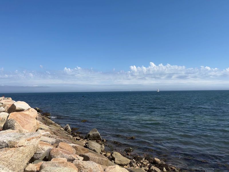 Fishing, Wildlife, And The Natural World Along The Shoreline