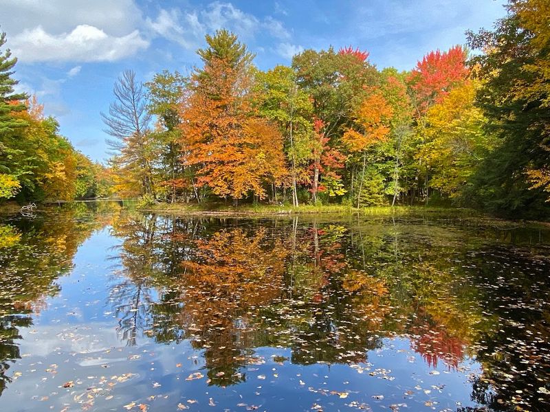 Scenic River Views Around Nearly Every Turn