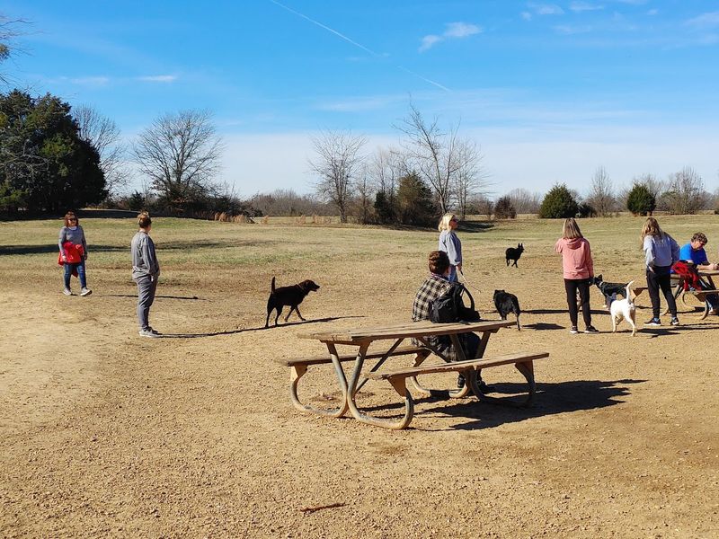 Benches And Picnic Tables That Let Owners Actually Relax