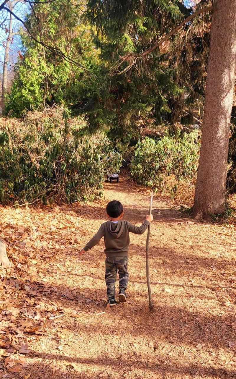 Forest Trails That Turn A Walk Into An Adventure