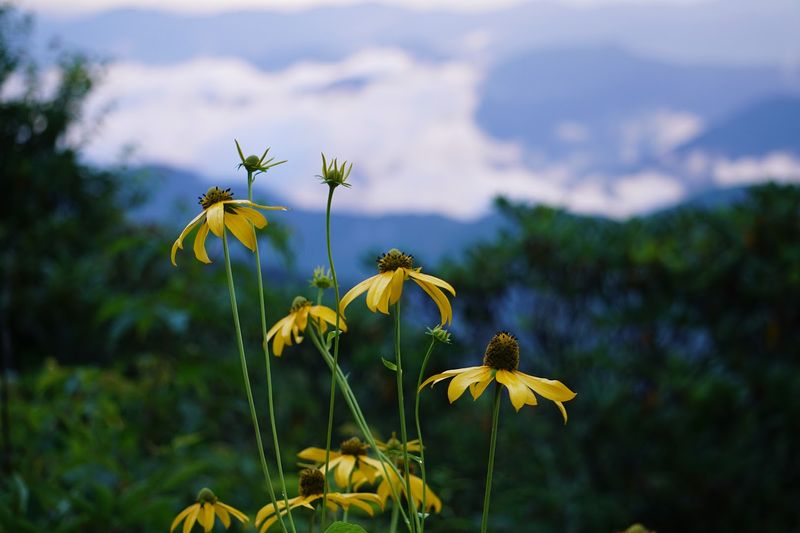 Seasonal Beauty Here Hits Differently Than Anywhere Else