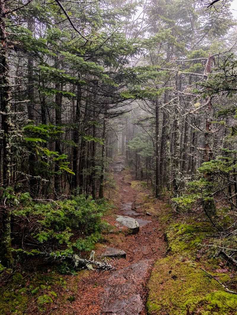 A View That Earns Every Step You Take