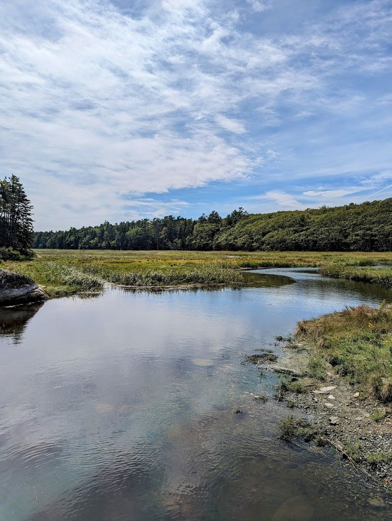 Trail Features And Terrain Types