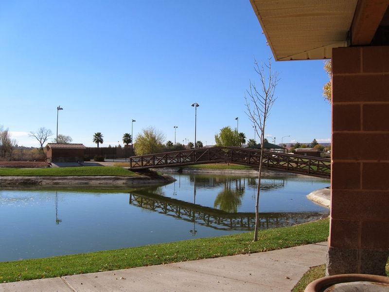 Mesquite