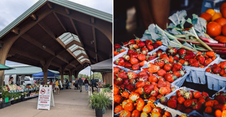 10 Iconic Wisconsin Farmers’ Markets Known Statewide For Exceptional Local Food And Craft Vendors