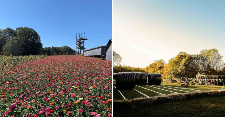 10 Lovely Tennessee Farms To Visit Before Spring Is Over