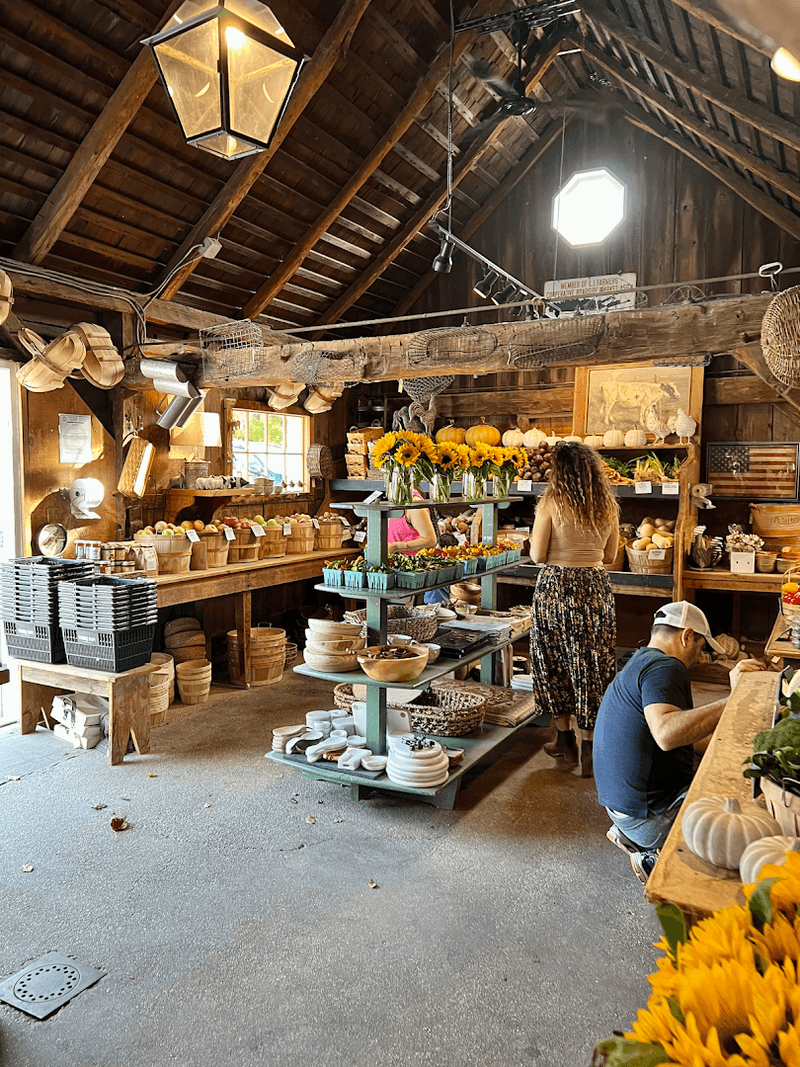 Youngs Farm