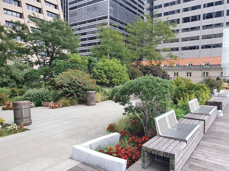 Elevated Acre