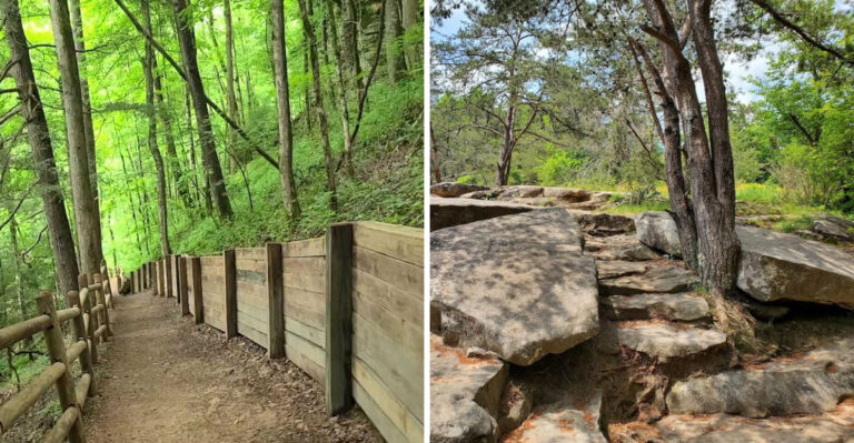 11 Easy Tennessee Trails That Are Perfect For Beginners This Spring