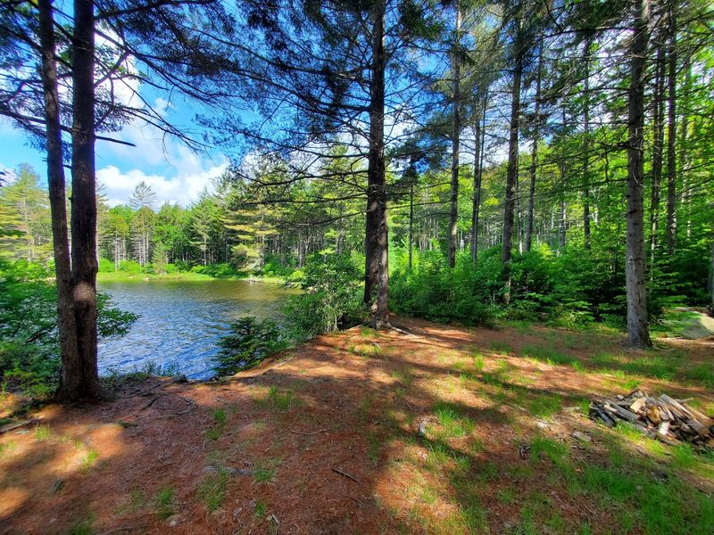 Moose River Plains Wild Forest