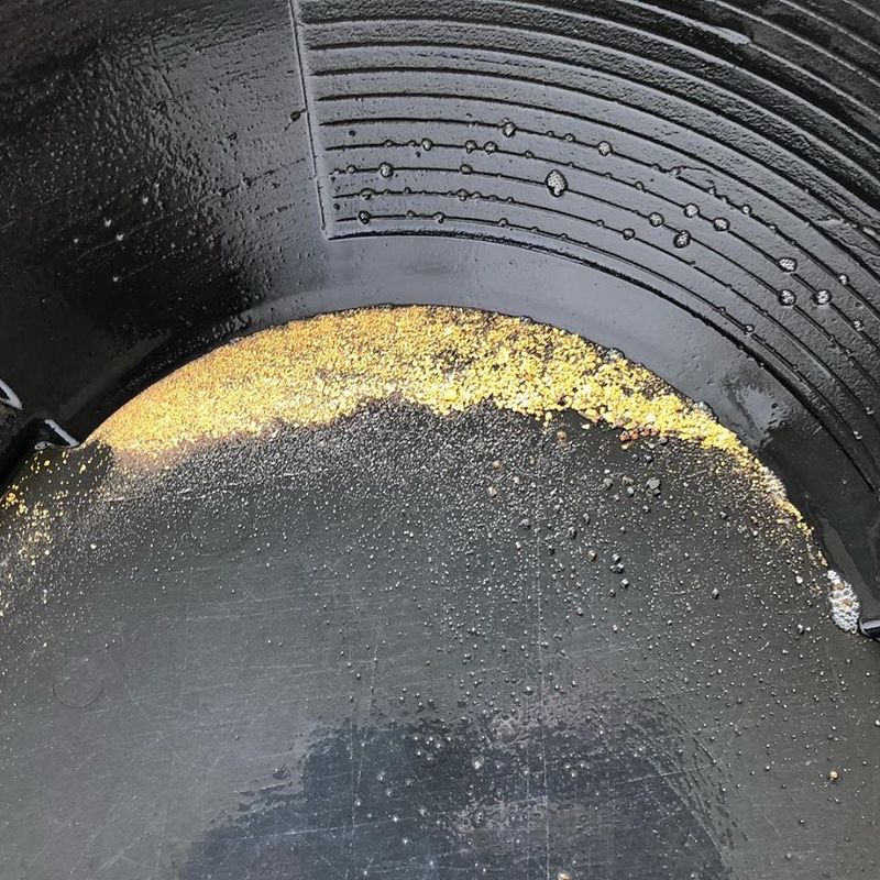 Pan For Gold At Coker Creek, Coker Creek