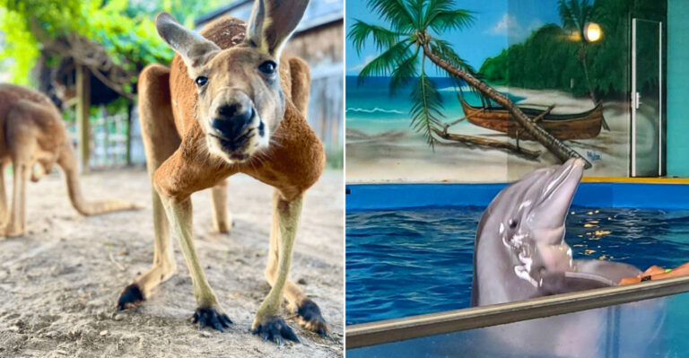 12 Fun-Filled Places In Mississippi To Take Restless Kids This Year That Parents Will Enjoy Too