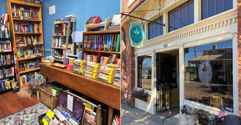 12 Mississippi Secondhand Bookstores Every Book Lover Needs To Visit In 2026