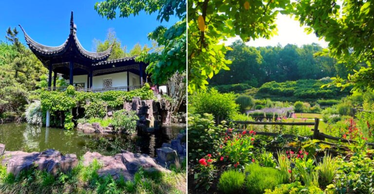12 Public Gardens Across New York With Rare Blooms And Scenic Walks You Won’t Find Anywhere Else