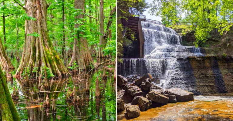 2026 Bucket-List Hikes In Mississippi With Scenic Trails And No Permits Required
