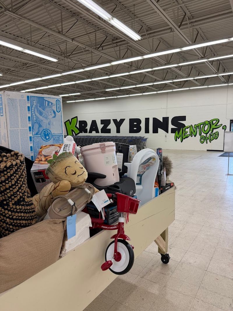 Krazy Bins Mentor: NOW OPEN - Restock Friday @ 10AM