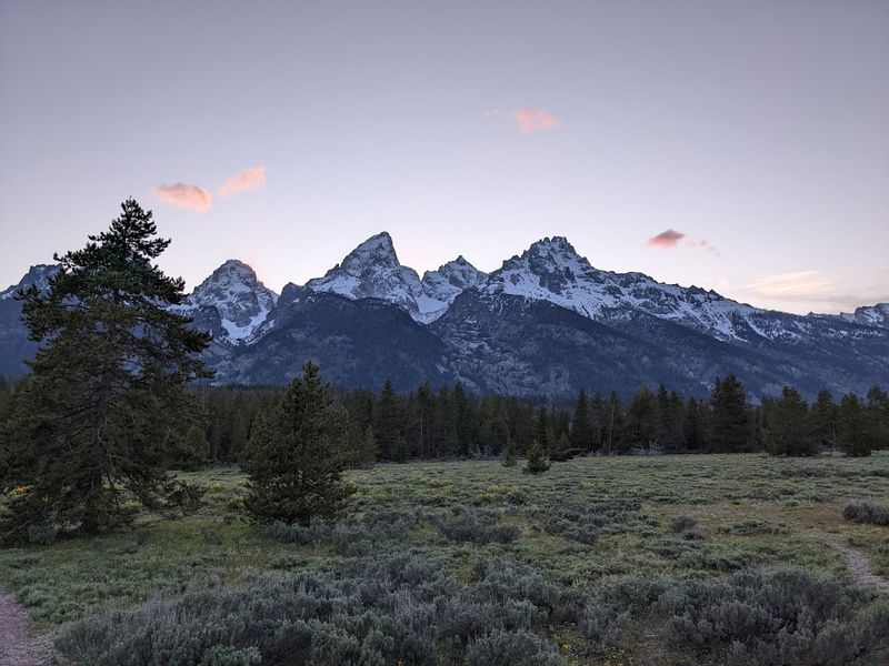 Lupine Meadows Trail