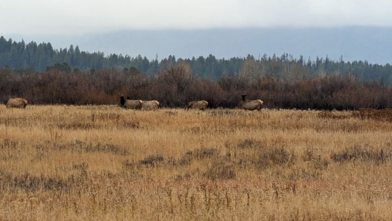 Willow Flats Overlook
