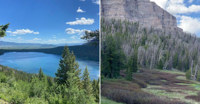7 Remote Rocky Mountain Meadows In Wyoming You Should See