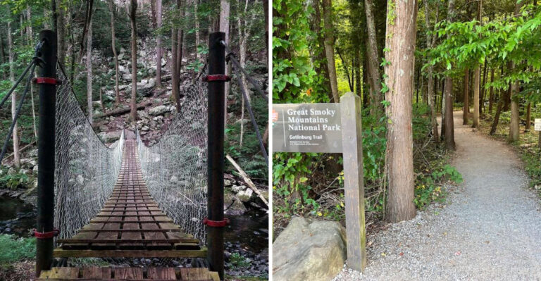 8 Easy Mountain Hikes In Tennessee That Even The Kids Will Enjoy