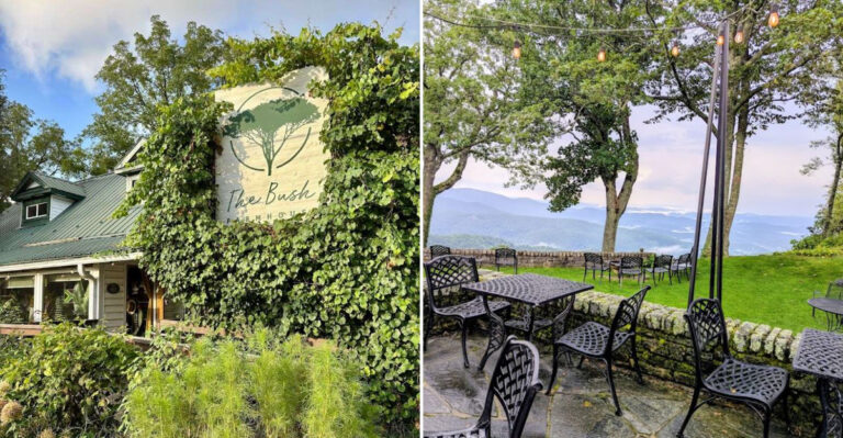 8 Small-Town North Carolina Restaurants That Quietly Serve Some Of The Best Food In The State