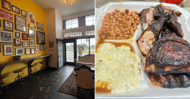 8 Tiny Tampa, Florida Places That Stay Packed Without Making Noise