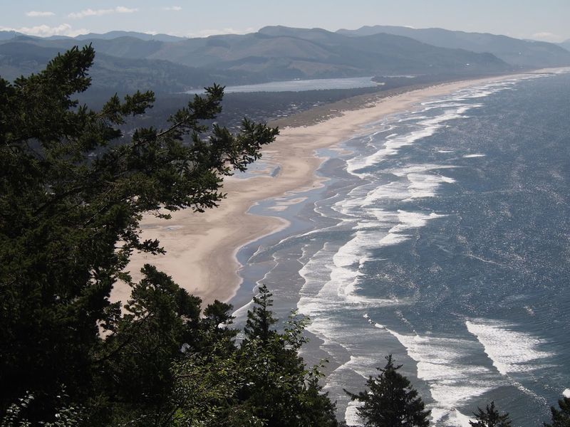 Manzanita