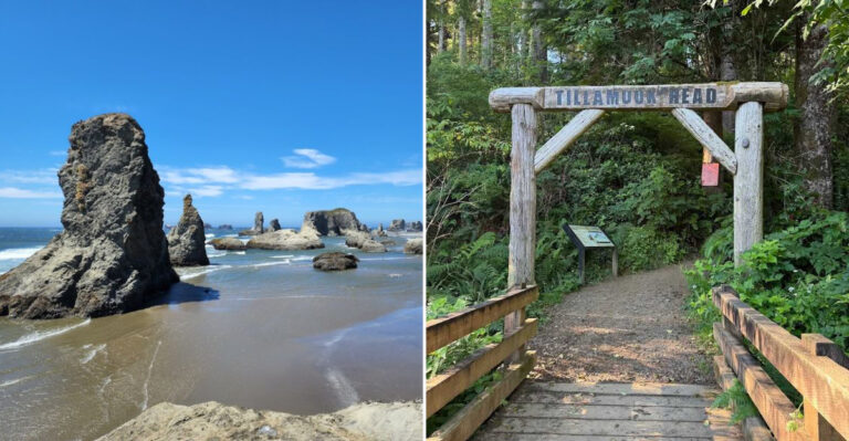 9 Breathtaking Coastal Bluff Trails In Oregon You Need To Experience