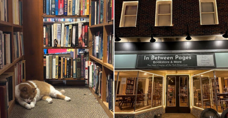9 Incredible Pennsylvania Used Bookstores Perfect For Getting Lost In Literature