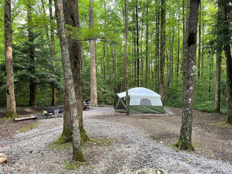 Cosby Campground, Great Smoky Mountains