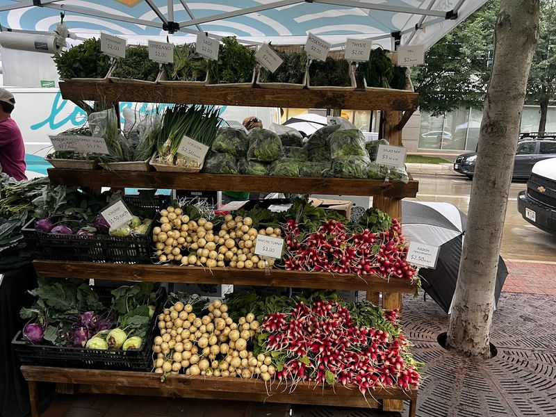 Dane County Farmers' Market, Madison