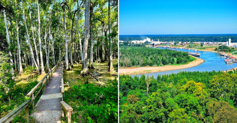 9 Gorgeous Road Views In Mississippi That Will Have You Pulling Over Nonstop