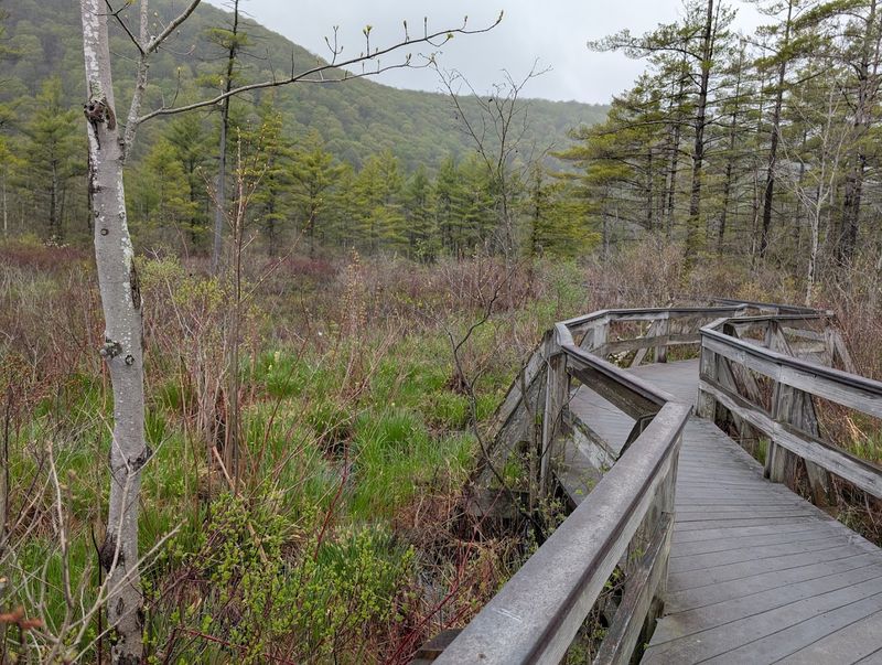 Labrador Hollow Unique Area And Why Its Name Is Earned