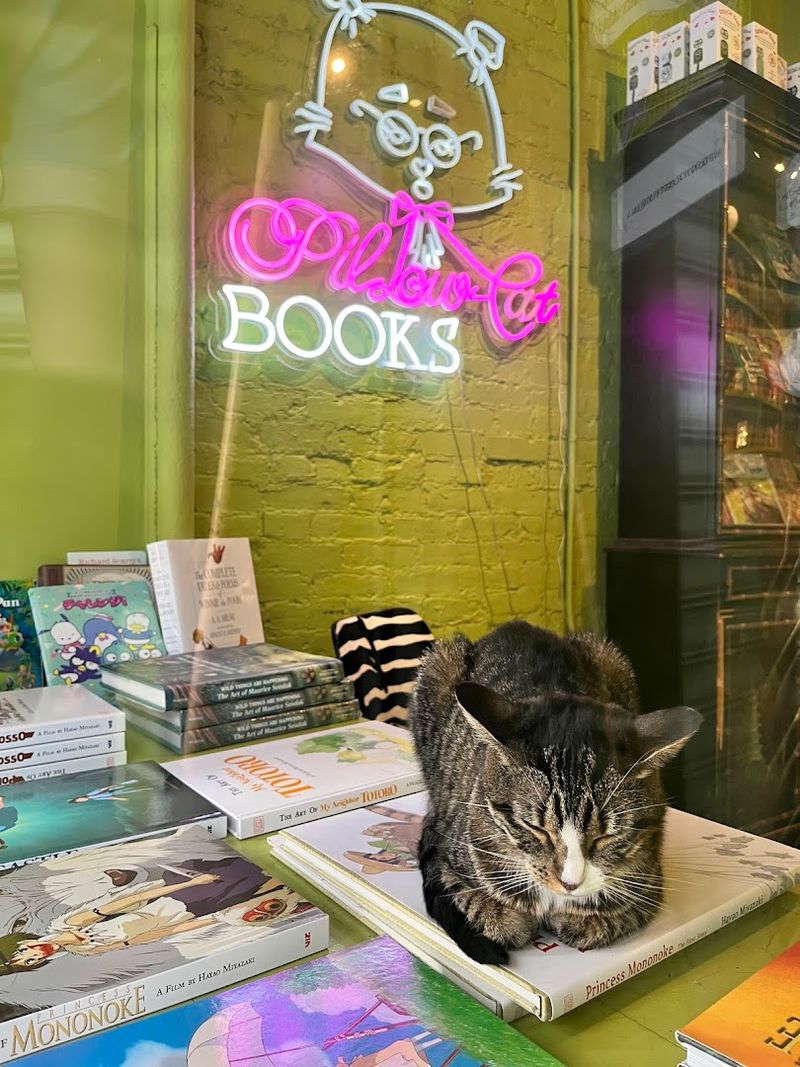 Pillow The Cat, The Shop's Unofficial Manager