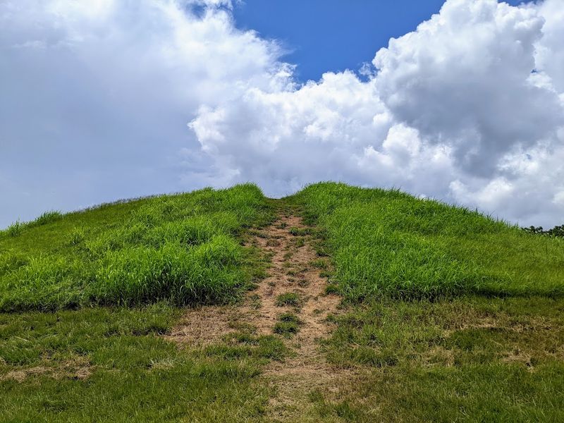 Kids, History, And Wide Open Space