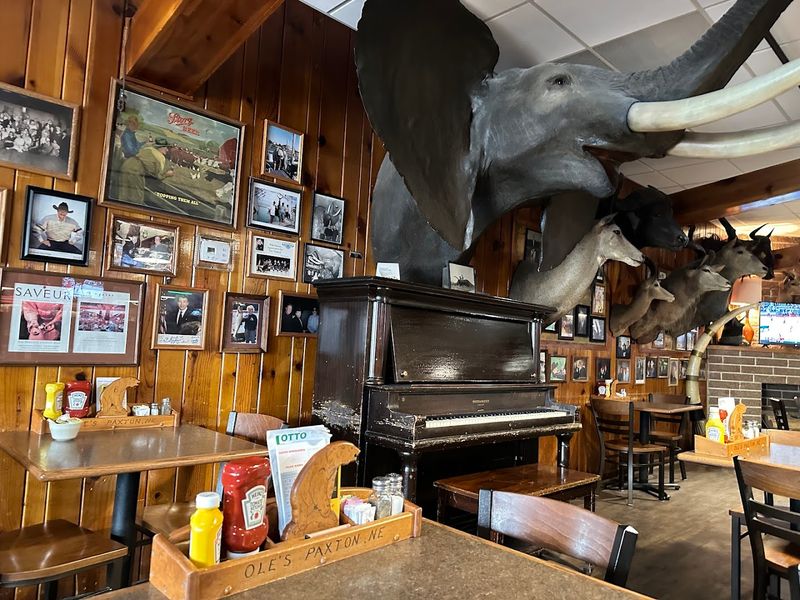 Big Game Displays That Set The Scene