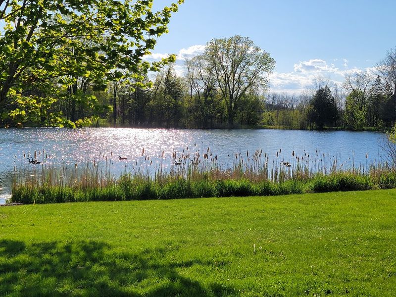 The Peaceful Pond Makes The Setting Feel Special