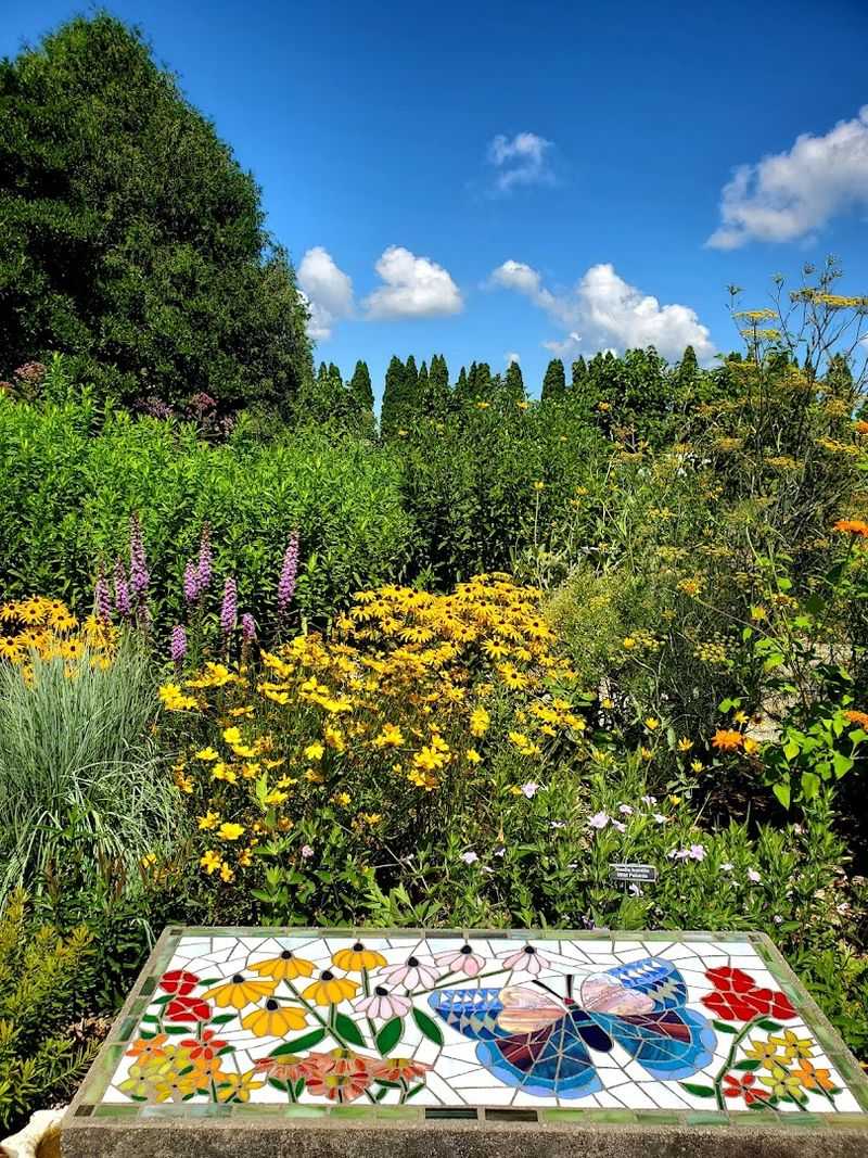 The Pollinator Garden Brings Colour And Movement