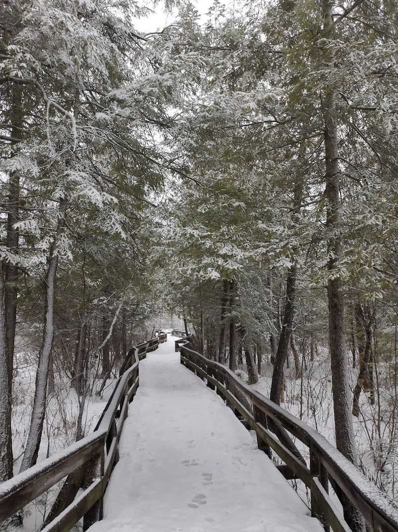 Why Labrador Hollow Stays With You Long After You Leave