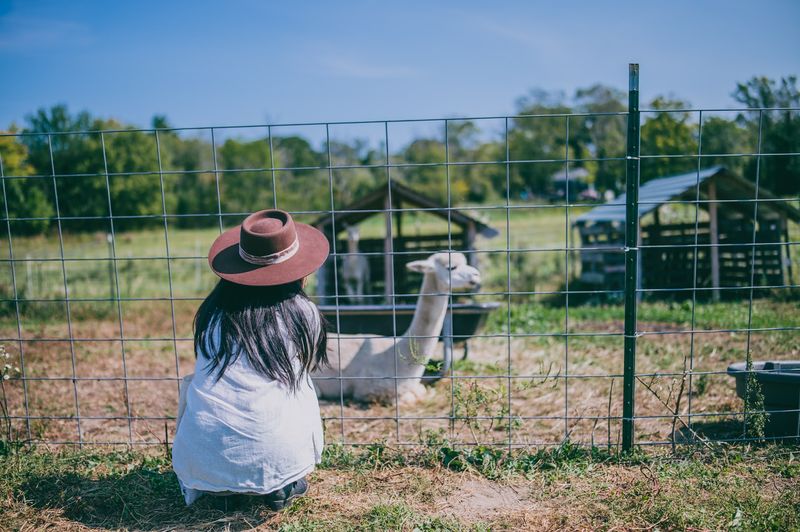 Farm Animals That Make Every Visit Feel Like An Adventure
