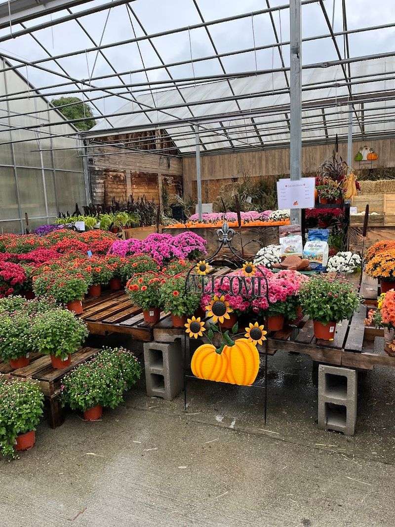 Gray Barn Farm: Monroe's Favorite Green Destination