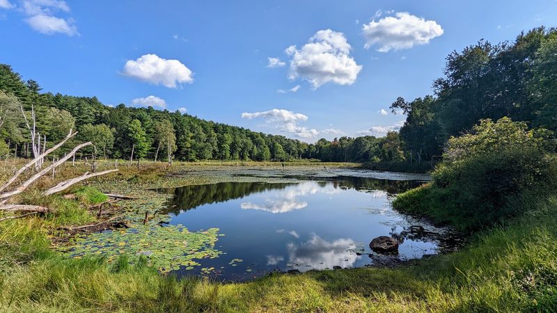 The Charm Bracelet Trail System And Outdoor Recreation