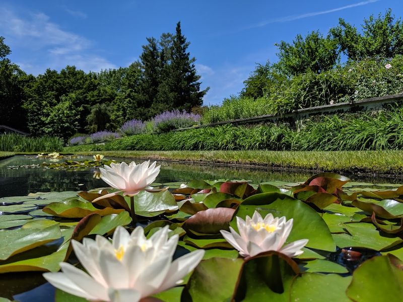 The Landscape Design That Makes Every Step A Discovery