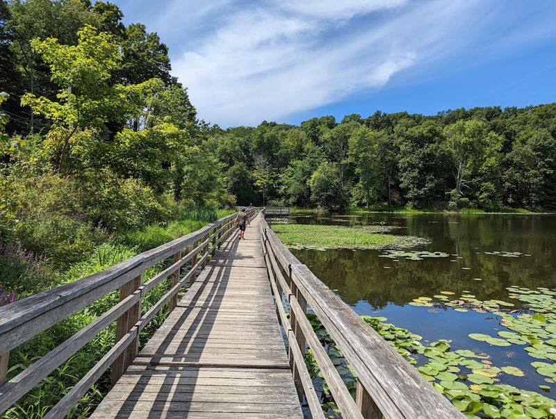 Teatown Lake Reservation: Where Turtles Rule The Spring Scene