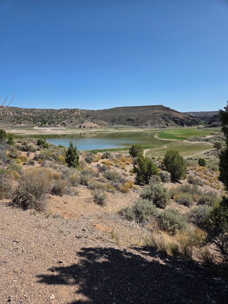Wildlife, Open Skies, And Rugged Nevada Views
