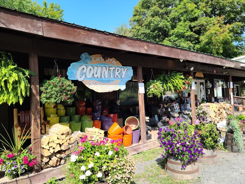 Catskill Mountain Country Store And Restaurant: The Full Story